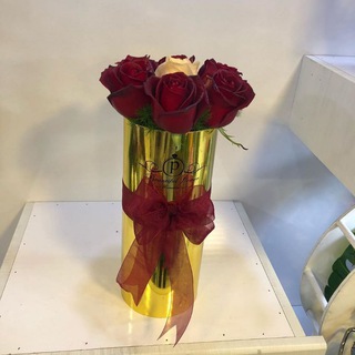 گالری اگرین (@tarikoooz)