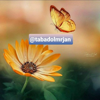 تبادل اماری m (@tabadolmrjan)