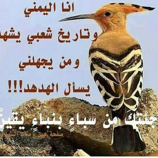 صباحيات (@sbahit)