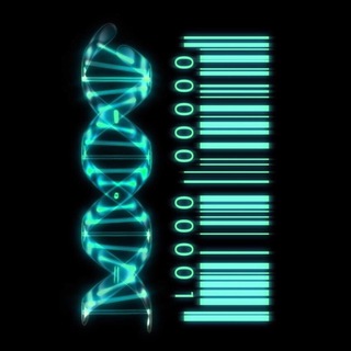 Dna Matrix Hackers (@dna_matrix_hackers)