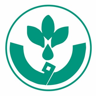 تجارب سلامت شفای کردستان (@kshc320)